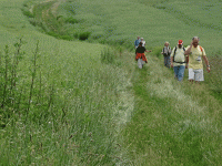 Condé sur Vesgres